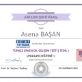 Resmi büyüt: certificate 3