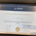 Resmi büyüt: certificate 13