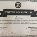 Resmi büyüt: certificate 6