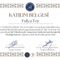 Resmi büyüt: certificate 6