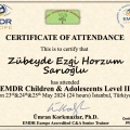 Resmi büyüt: certificate 22