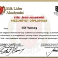 Resmi büyüt: certificate 4