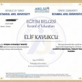 Resmi büyüt: certificate 3