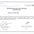 Resmi büyüt: certificate 11