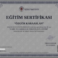 Resmi büyüt: certificate 1