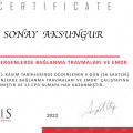 Resmi büyüt: certificate 7