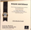 Resmi büyüt: certificate 7
