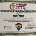 Resmi büyüt: certificate 11