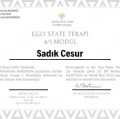Resmi büyüt: certificate 9