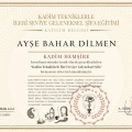 Resmi büyüt: certificate 8