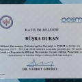 Resmi büyüt: certificate 2