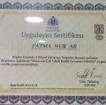 Resmi büyüt: certificate 1