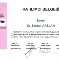 Resmi büyüt: certificate 51