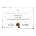 Resmi büyüt: certificate 16