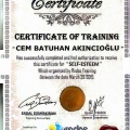 Resmi büyüt: certificate 5