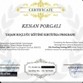 Resmi büyüt: certificate 2