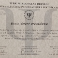 Resmi büyüt: certificate 6