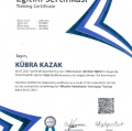 Resmi büyüt: certificate 4