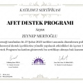 Resmi büyüt: certificate 1