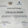 Resmi büyüt: certificate 22