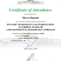 Resmi büyüt: certificate 4