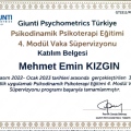 Resmi büyüt: certificate 20