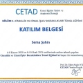 Resmi büyüt: certificate 3