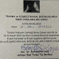 Resmi büyüt: certificate 2