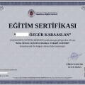 Resmi büyüt: certificate 2