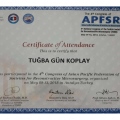 Resmi büyüt: certificate 19