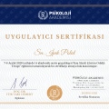 Resmi büyüt: certificate 3