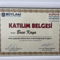 Resmi büyüt: certificate 6