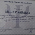 Resmi büyüt: certificate 1