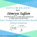 Resmi büyüt: certificate 13