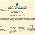 Resmi büyüt: certificate 12