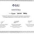 Resmi büyüt: certificate 10