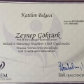 Resmi büyüt: certificate 8