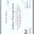 Resmi büyüt: certificate 11