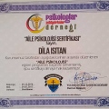 Resmi büyüt: certificate 18