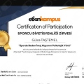 Resmi büyüt: certificate 5