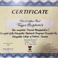 Resmi büyüt: certificate 2