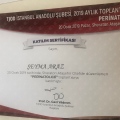 Resmi büyüt: certificate 15