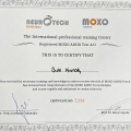 Resmi büyüt: certificate 1