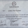Resmi büyüt: certificate 6