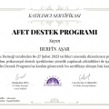 Resmi büyüt: certificate 1
