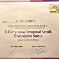 Resmi büyüt: certificate 22