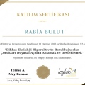 Resmi büyüt: certificate 10