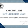 Resmi büyüt: certificate 13