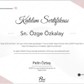 Resmi büyüt: certificate 3