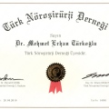 Resmi büyüt: certificate 5